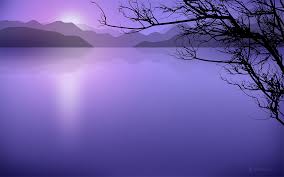 Purple Water -  imagesCA164SCV