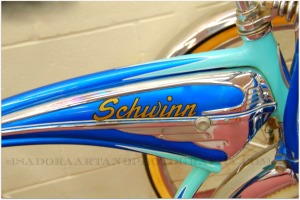 Schwinn Bike.web