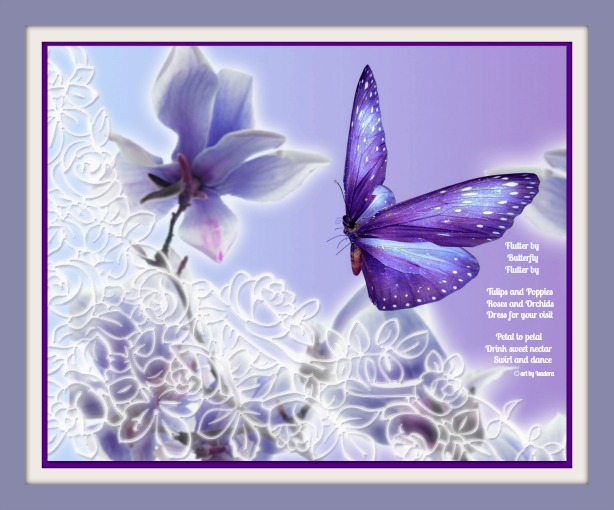 Butterfly-Purple A 614.web