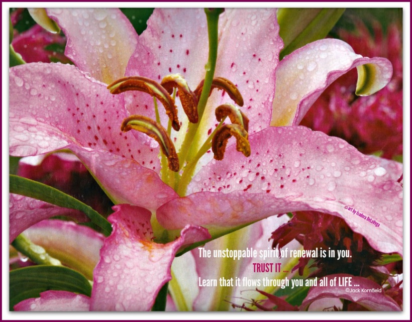 Nurturing-Flower-Renewal-A-April-2016.web